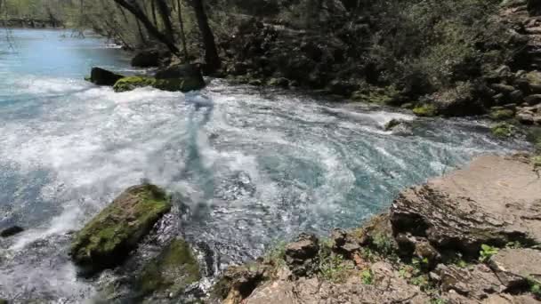 Ileri ileri büyük bahar itibariyle geçerli nehre köpüren büyük springmissouri, geçerli nehre köpüren missouri — Stok video