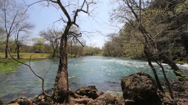 Missouri geçerli Nehri büyük bahar, ağaçlar — Stok video