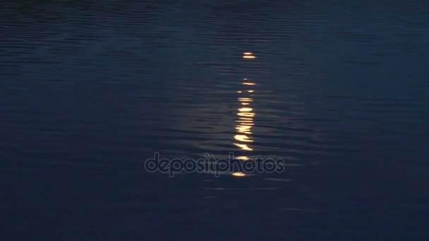 Rayos de luna en el agua — Vídeos de Stock