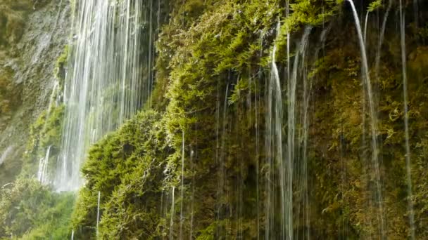 Doğal su taze bahar şelale yeşil doğa — Stok video