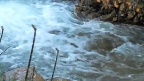 Panorama río arriba — Vídeo de stock