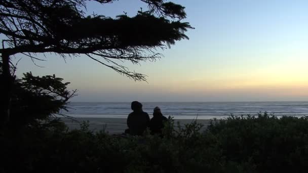 Menschen am Strand in der Abenddämmerung — Stockvideo