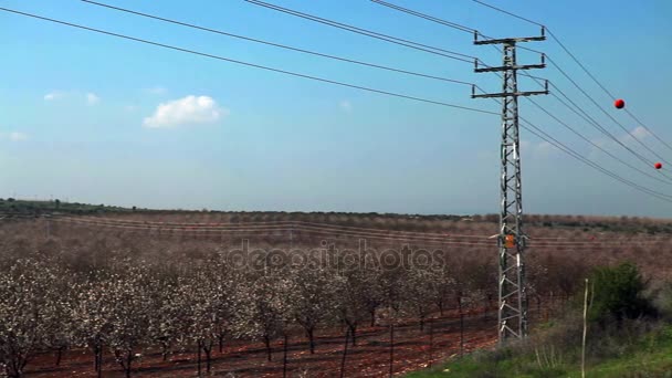 Power lines next to field — Stock Video