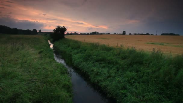 Rivière dans le champ de blé près de copenhagen — Video