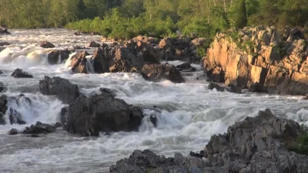 Floden forsar i kvällsljus — Stockvideo