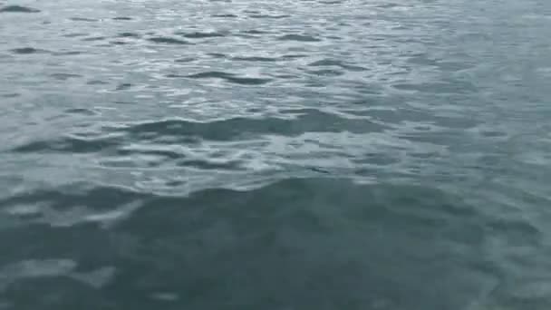 Вітрильні через хвилі — стокове відео