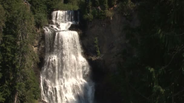 Мальовничий водоспад rushing — стокове відео