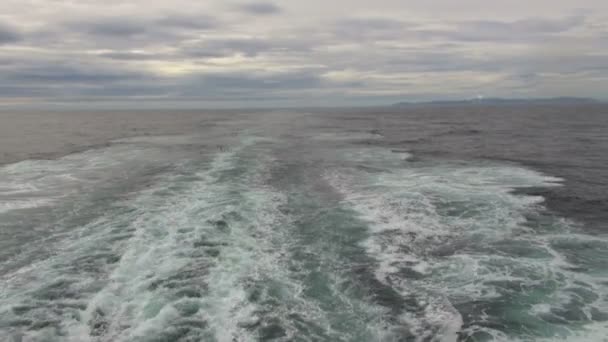 Nave sveglia al largo della costa sudamericana — Video Stock