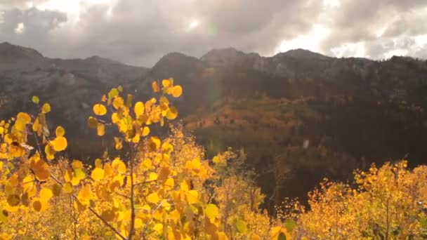 Diapositiva de riel de aspens amarillos y picos de montaña escarpados — Vídeos de Stock