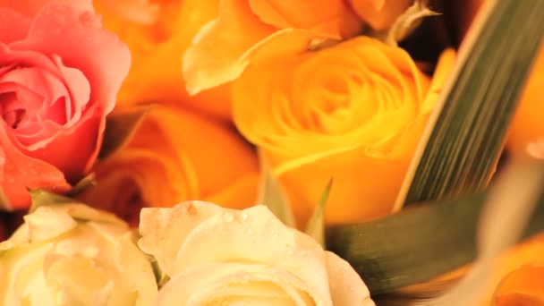 Ramo de rosas multicolor girando lentamente — Vídeos de Stock