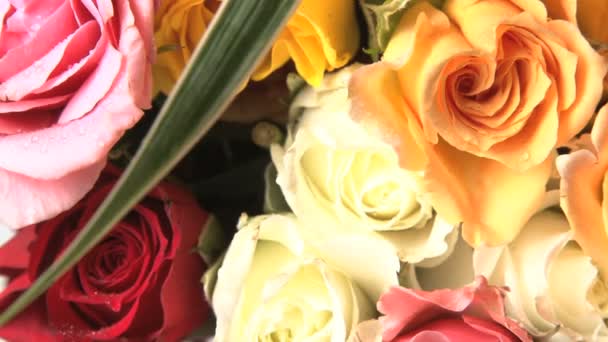 Bouquet di rosa filatura — Video Stock