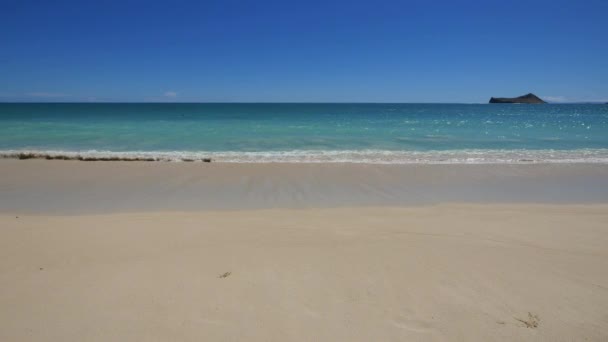 Статический очень широкий выстрел волн на пляже Вайманало Оаху Гавайи — стоковое видео