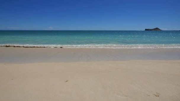 Static very wide shot of waves on waimanalo beach oahu hawaii — Stock Video