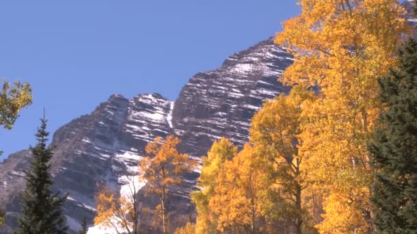 Montagnes enneigées près des arbres d'automne — Video