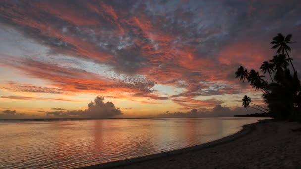 Estática muy amplia toma de una playa al atardecer en rarotonga islas cocineras — Vídeos de Stock