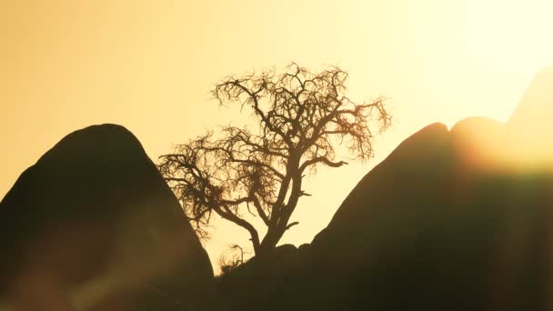 タイムラプスの岩の間から太陽のまぶしさ — ストック動画