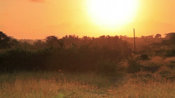 Захід сонця над полем в Кенії — стокове відео