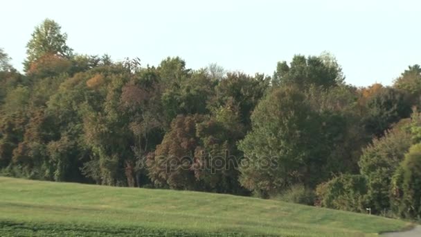 Trees and crops on a farm — Stock Video