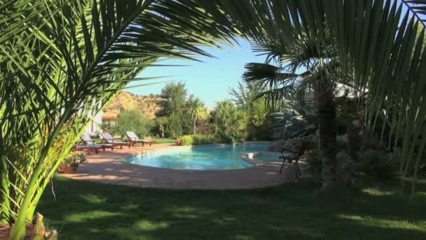 Tropical swimming pool sanctuary — Stock Video
