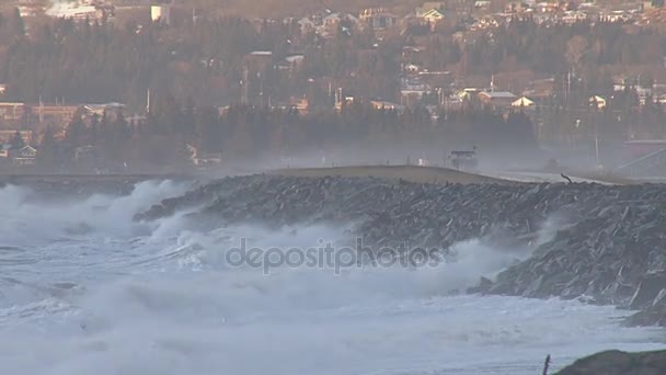 Vagues s'écrasant sur le côté de la route de crachat homer — Video