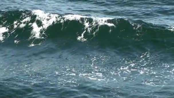 Wellen im grünen blauen Wasser — Stockvideo