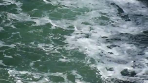 Vagues aux nuances de vert — Video