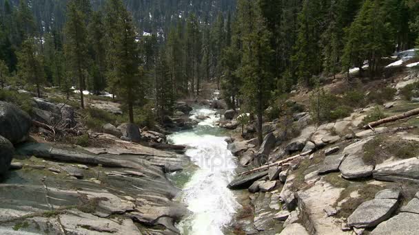 Arroyo forestal yosemite — Vídeos de Stock