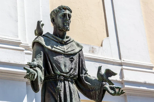 Statue Saint Francis Assisi — Stock Photo, Image