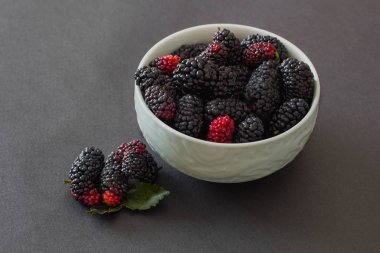 Taze organik Vietnamca Karadut yeşil kabın içinde gri arka plan üzerinde