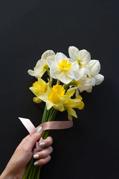 Lovely bouquet of white and yellow narcissus with a pink ribbon in a woman\'s hand with a gentle neat blue manicure  on a black background