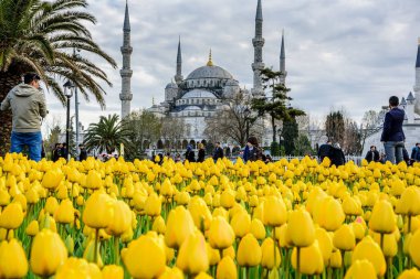 Lale Festivali Sultanahmet Meydanı Parkı manzaralı Sultan Ahmet