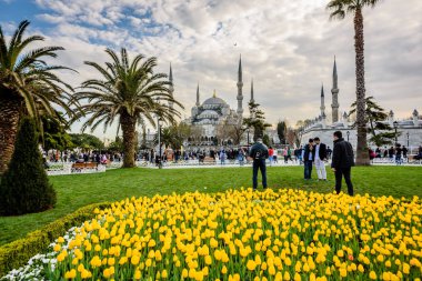 Lale Festivali görünümünde Sultanahmet Meydanı Parkı