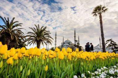 Lale Festivali görünümünde Sultanahmet Meydanı Parkı