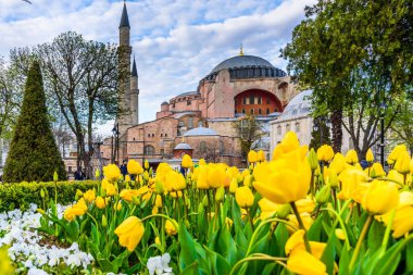 Ayasofya'nın manzarasına sahip geleneksel Lale Festivali Sultanahmet Meydanı Parkı