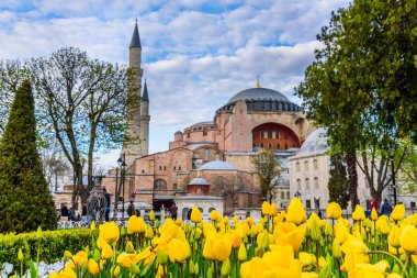 Ayasofya'nın manzarasına sahip geleneksel Lale Festivali Sultanahmet Meydanı Parkı