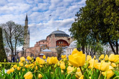 Ayasofya'nın manzarasına sahip geleneksel Lale Festivali Sultanahmet Meydanı Parkı