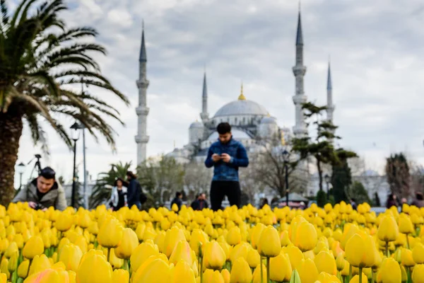 Lale Festivali görünümünde Sultanahmet Meydanı Parkı — Stok fotoğraf