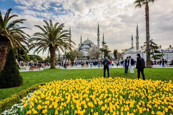 Lale Festivali görünümünde Sultanahmet Meydanı Parkı — Stok fotoğraf