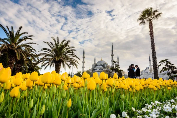 Tulip Festival vista em Sultanahmet Square Park — Fotografia de Stock