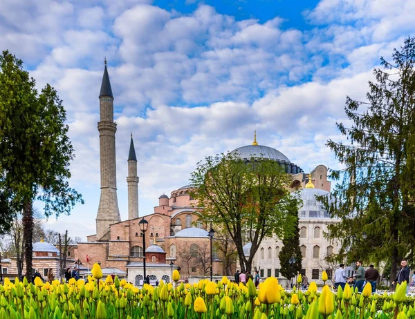 Traditional tulip Festival in Sultanahmet Square Park with view of Hagia Sophia — Stock Photo, Image