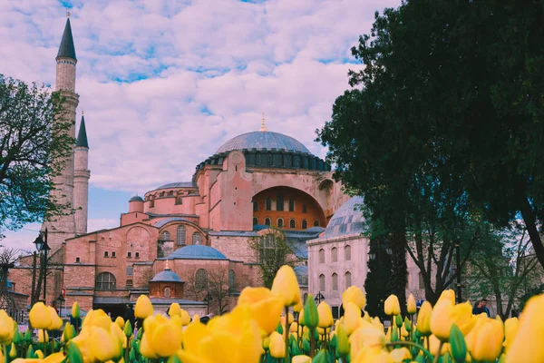 Традиційні tulip фестивалю на площі Султанахмет парку з видом на собор Святої Софії — стокове фото