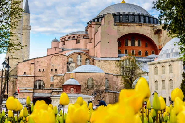 Festival de tulipas tradicional no Sultanahmet Square Park com vista para Hagia Sophia — Fotografia de Stock