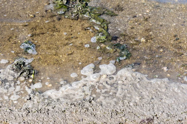 Natureza Águas residuais poluição ambiental — Fotografia de Stock