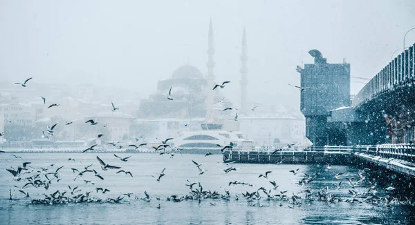 Vista Paisagem Marinha Inverno Popular Nova Mosgue Galata Bridge Seagulls — Fotografia de Stock