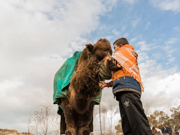 Een Turks Kind Gekleed Lokale Kleding Poseren Voor Kameel Die — Stockfoto