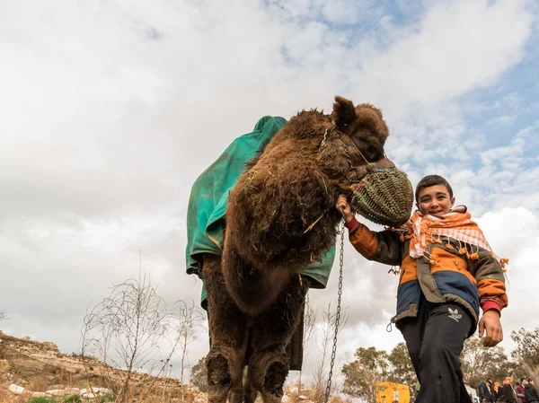Niño Turco Vestido Con Ropa Local Posando Frente Camello Que — Foto de Stock