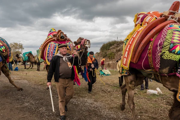 Onbekende Turkse Mensen Nemen Kameel Voor Traditionele Camel Worstelen Selcuk — Stockfoto