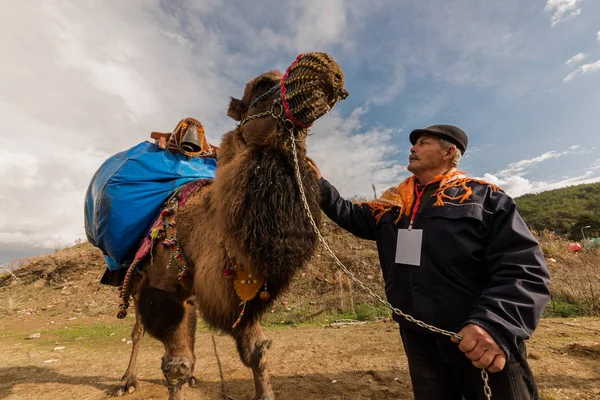 Turkisk Man Klädd Lokala Kläder Poserar Framför Kamel Som Fick — Stockfoto