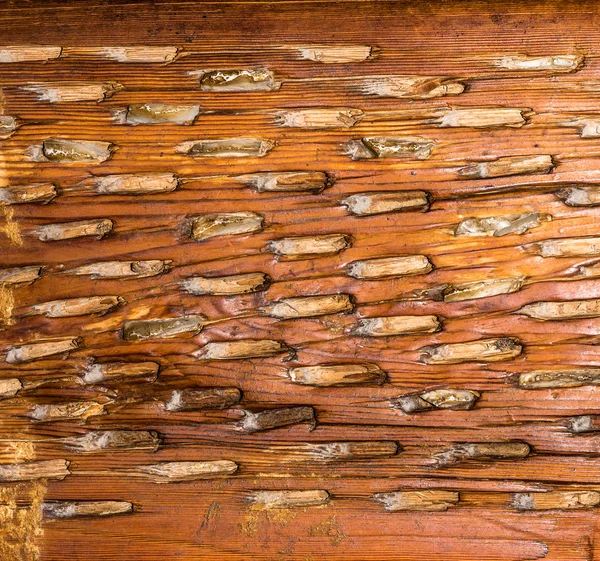 Άποψη της παλιάς ξεπερασμένο ξύλο. Grunge υφή. — Φωτογραφία Αρχείου