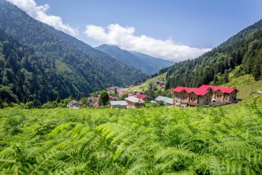Landscape view of Ayder Plateau in Rize,Turkey.Ayder Valley is popular destination for summer tourism. clipart